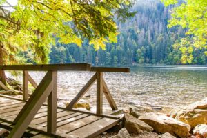 BLACK FOREST TRAVEL GUIDE | A MUST-VISIT DESTINATION IN GERMANY